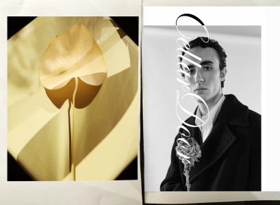 cellarddor7-43316c788ed9c278f03fe02bcb192fa6